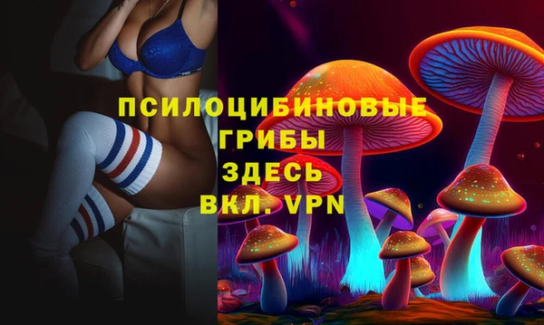 apvp Навашино