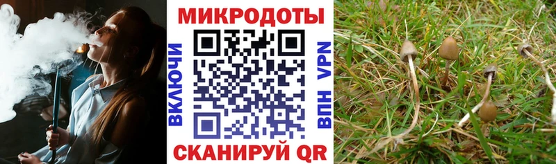 Галлюциногенные грибы MAGIC MUSHROOMS  OMG ONION  Кедровый 
