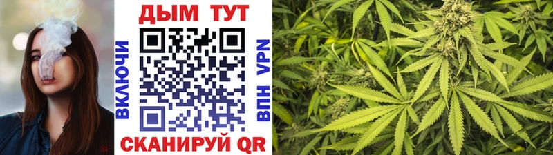 Канабис конопля Кедровый
